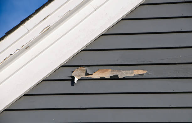 Best Stone Veneer Siding  in Random Lake, WI
